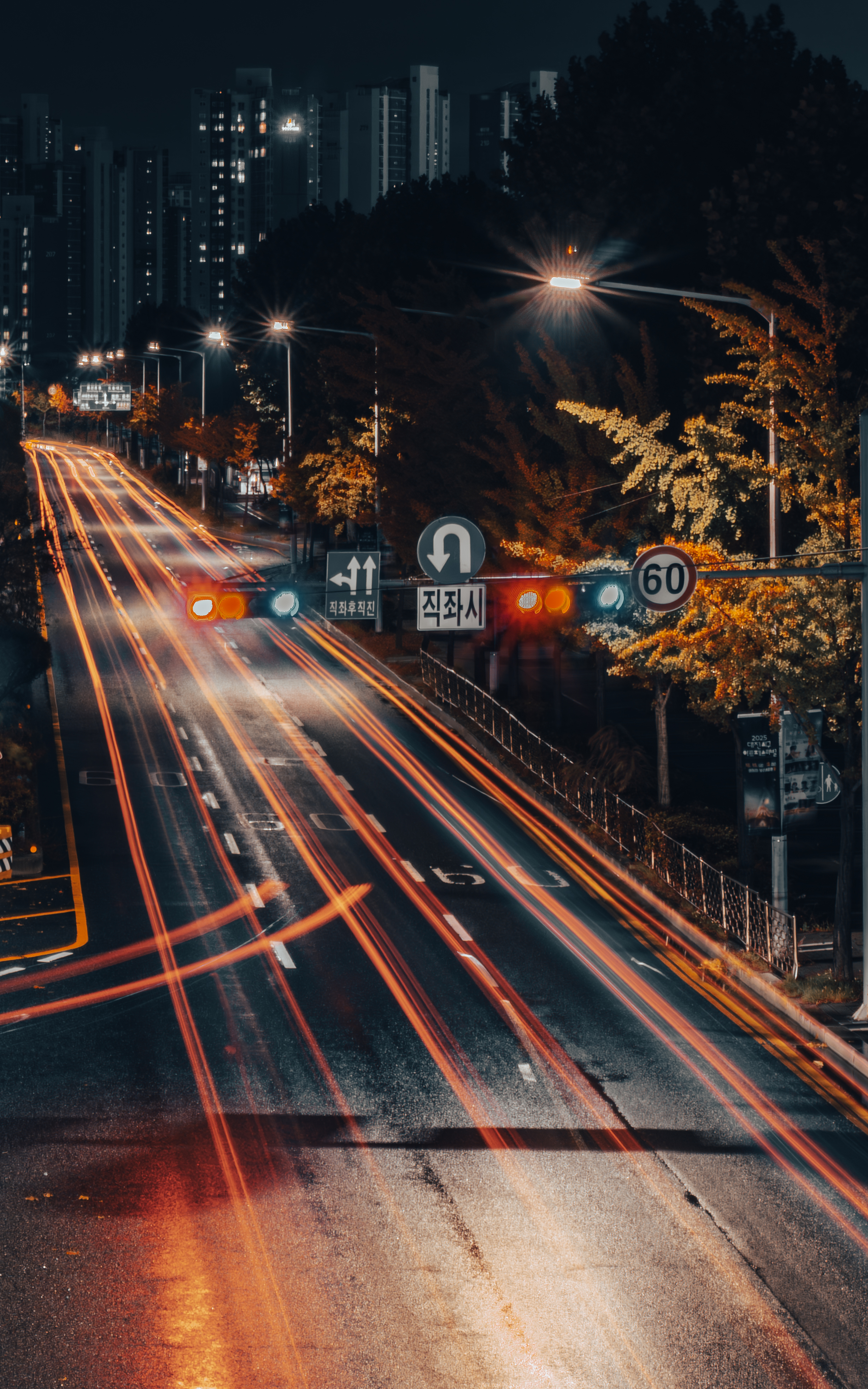 Neon Trails on a Korean Autumn Night
